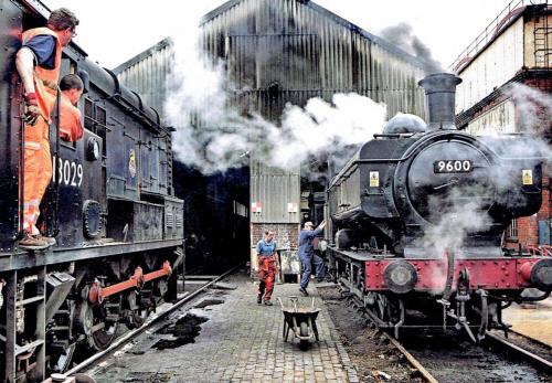 Greetings cards gallery